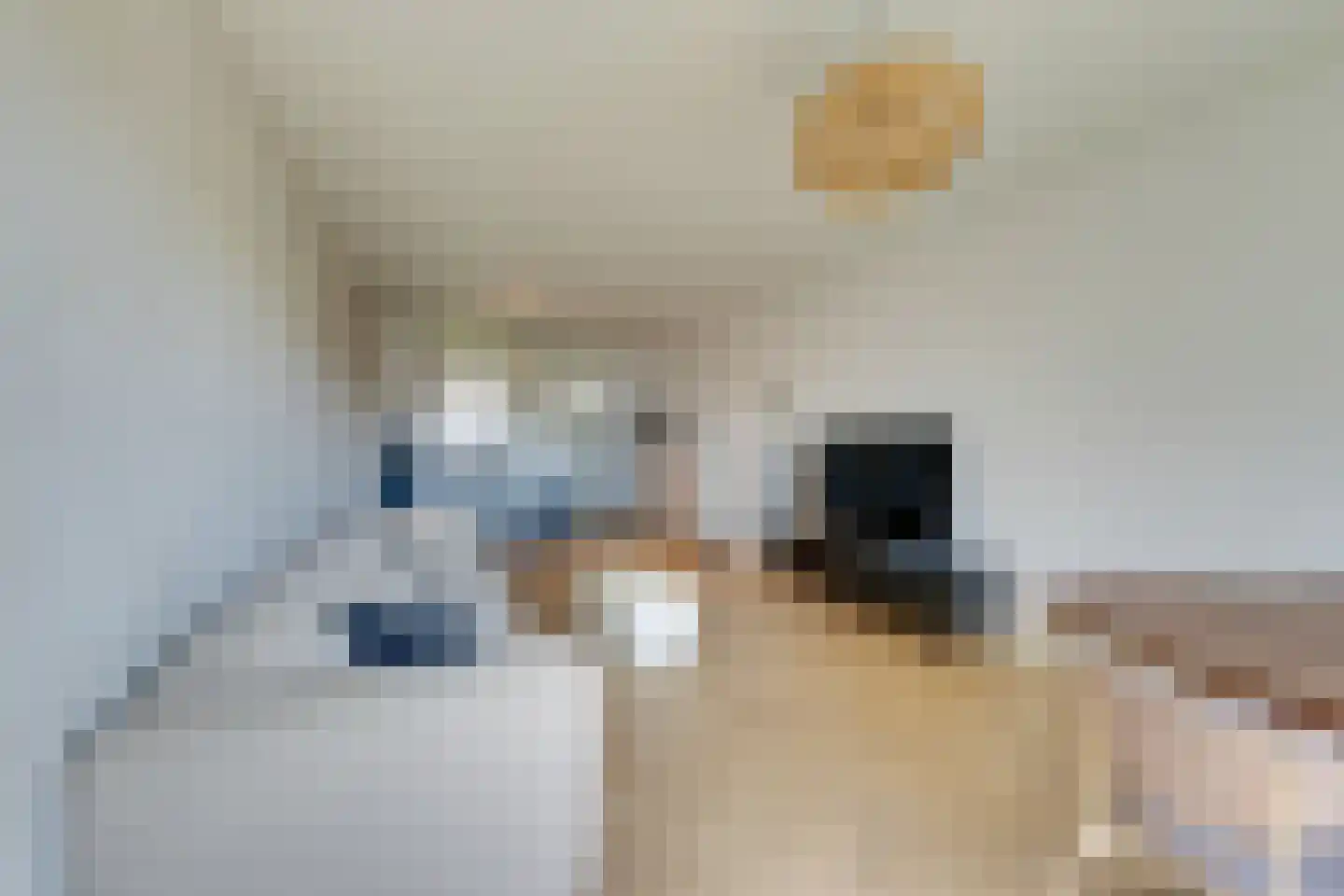 Loenermark 512 Amsterdam thumbnail 16