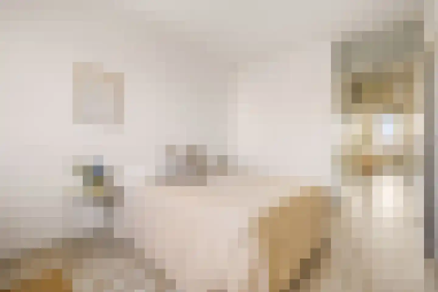 Loenermark 521 Amsterdam thumbnail 15