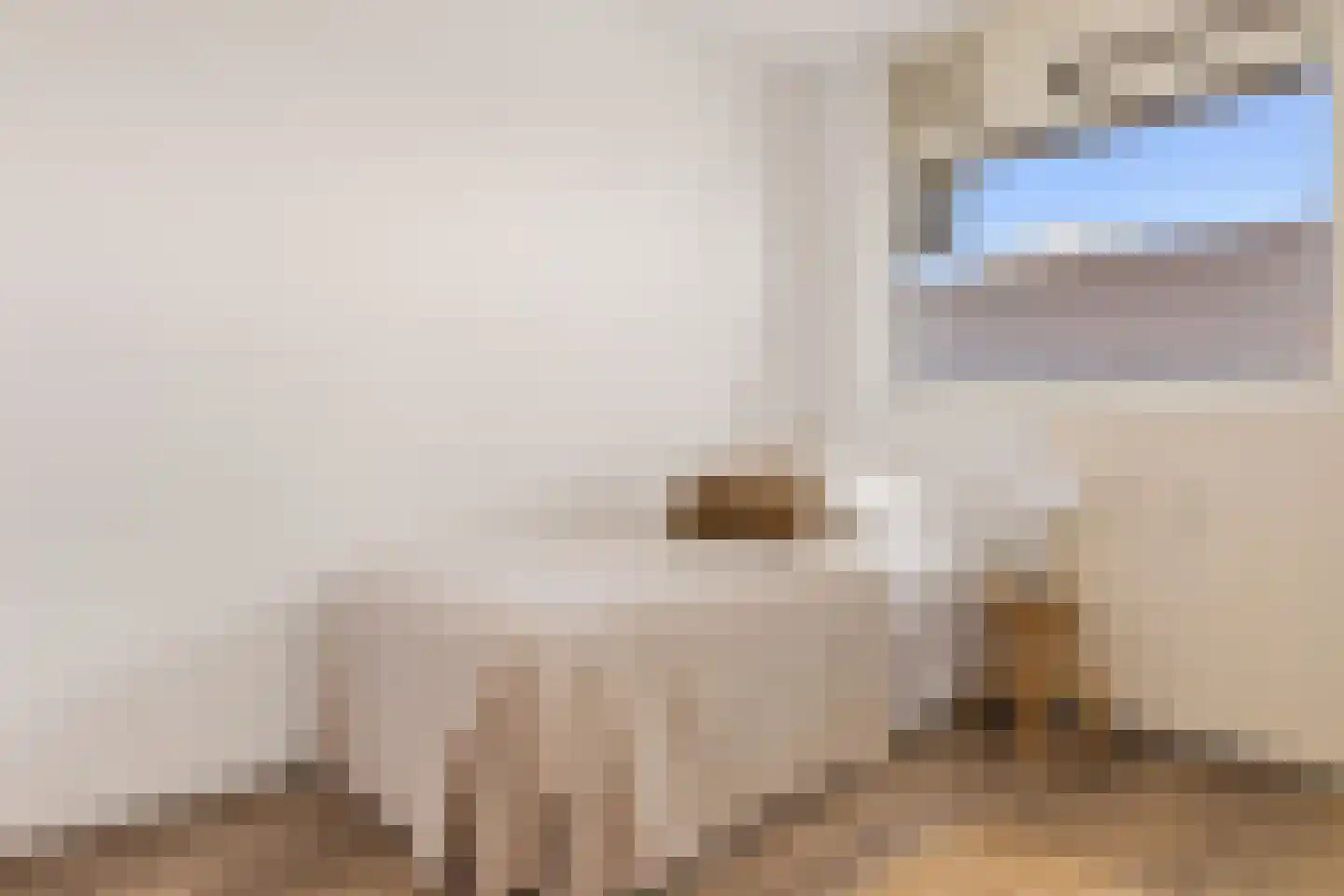 Loenermark 521 Amsterdam thumbnail 19