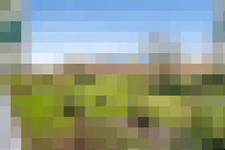 Loenermark 563 Amsterdam thumbnail 7