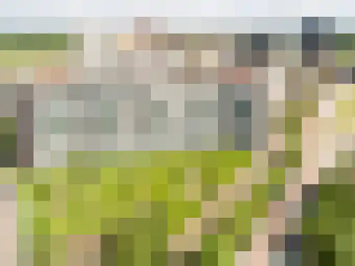 Loenermark 598 Amsterdam thumbnail 19