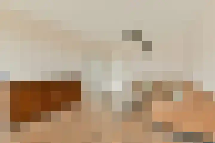 Loenermark 627 Amsterdam thumbnail 6