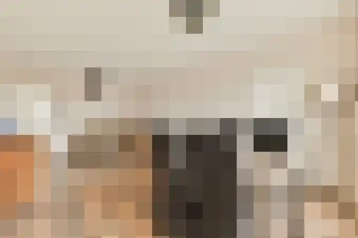 Loenermark 627 Amsterdam thumbnail 7
