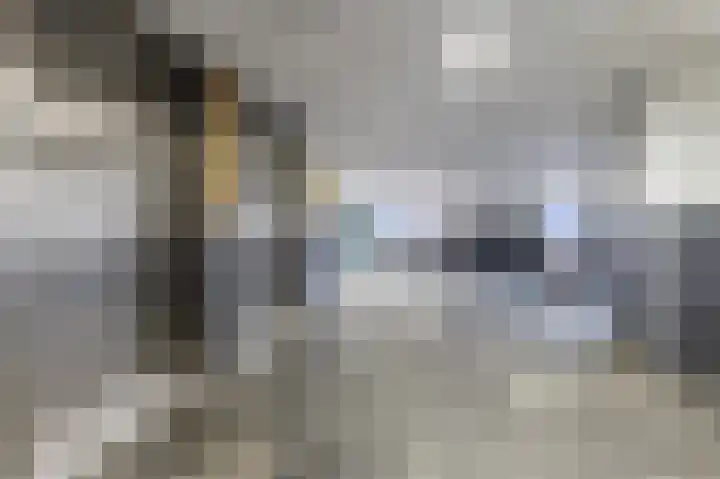 Loenermark 66 Amsterdam thumbnail 32