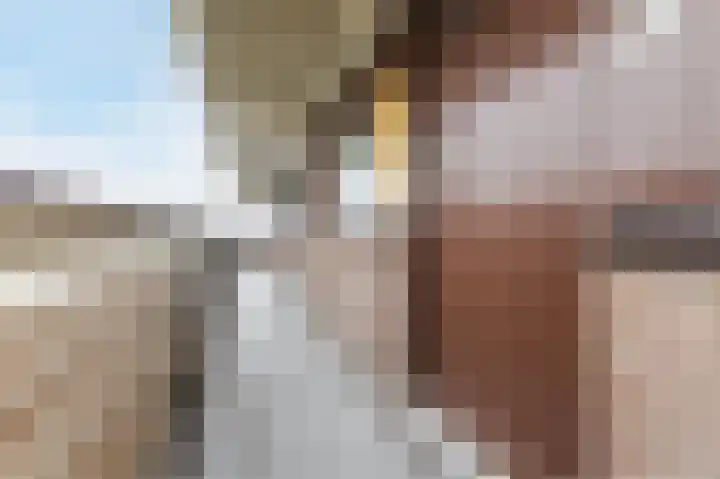 Loenermark 66 Amsterdam thumbnail 7