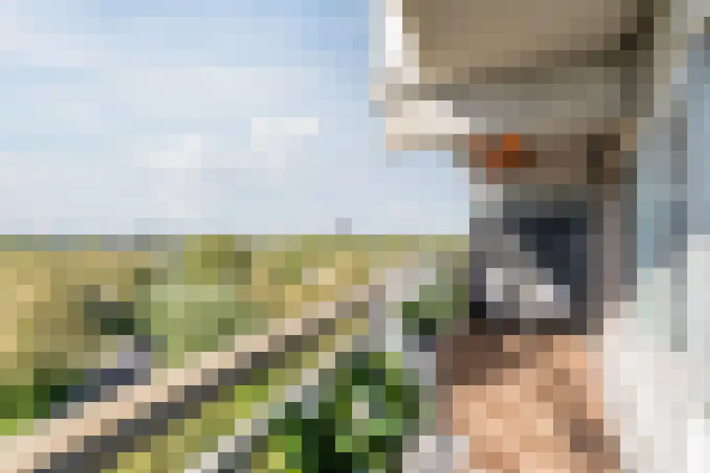 Loenermark 68 Amsterdam thumbnail 30
