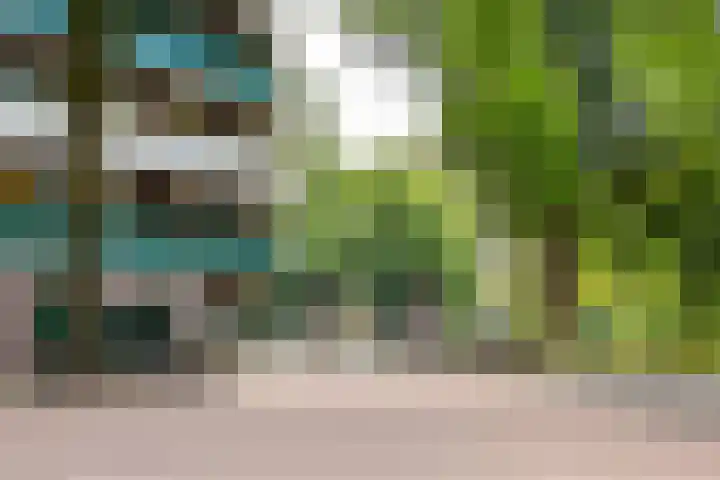 Loenermark 84 Amsterdam thumbnail 33