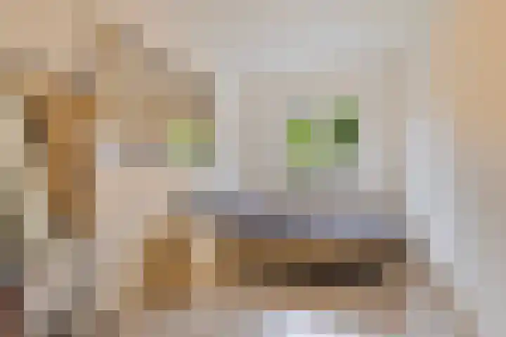 Loenermark 881 Amsterdam thumbnail 25