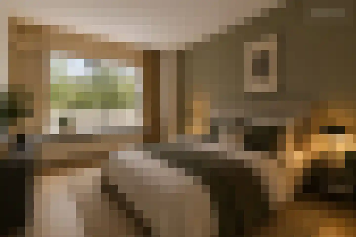 Loenermark 90 Amsterdam thumbnail 12