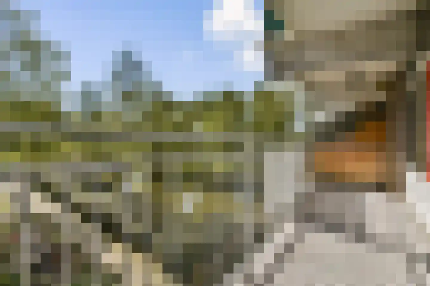 Loenermark 90 Amsterdam thumbnail 5