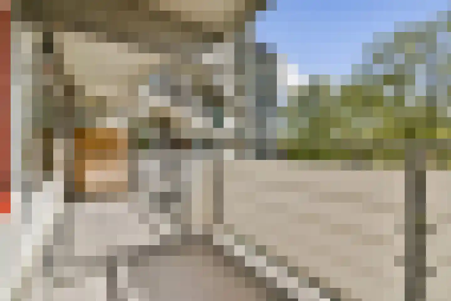 Loenermark 90 Amsterdam thumbnail 6