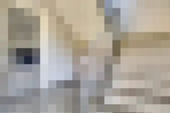 Loenermark 96 Amsterdam thumbnail 10