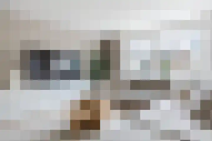 Loenerveld 6 Nieuw-Vennep thumbnail 12