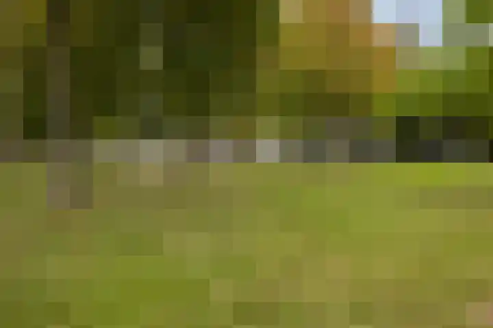 Loenerveld 6 Nieuw-Vennep thumbnail 50