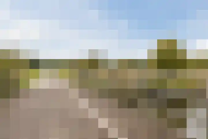 Loenerveld 6 Nieuw-Vennep thumbnail 51