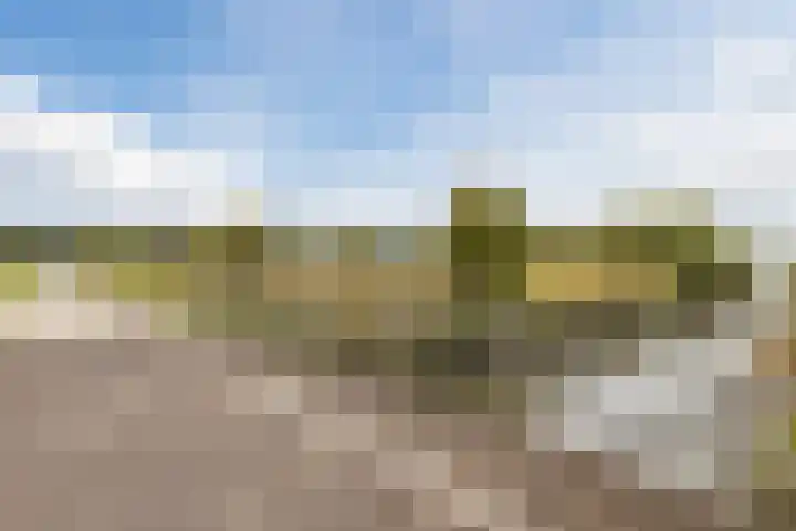 Loenerveld 6 Nieuw-Vennep thumbnail 52