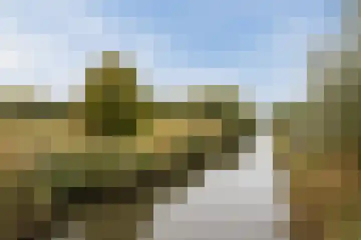 Loenerveld 6 Nieuw-Vennep thumbnail 53