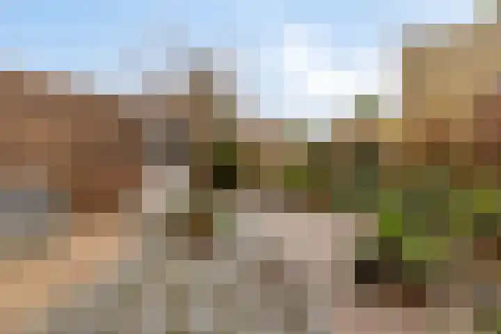 Loenerveld 63 Nieuw-Vennep thumbnail 25
