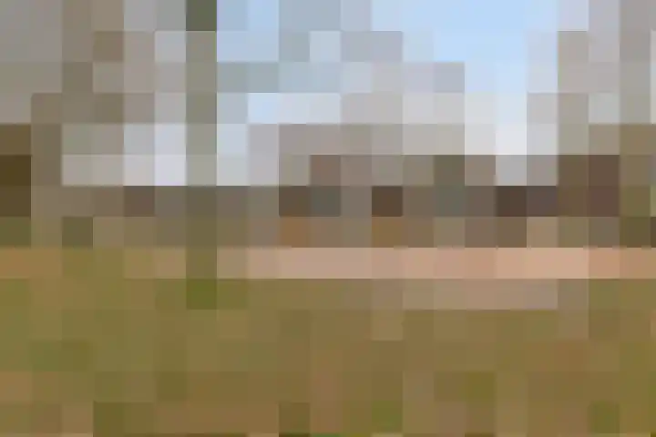 Loenerveld 63 Nieuw-Vennep thumbnail 28