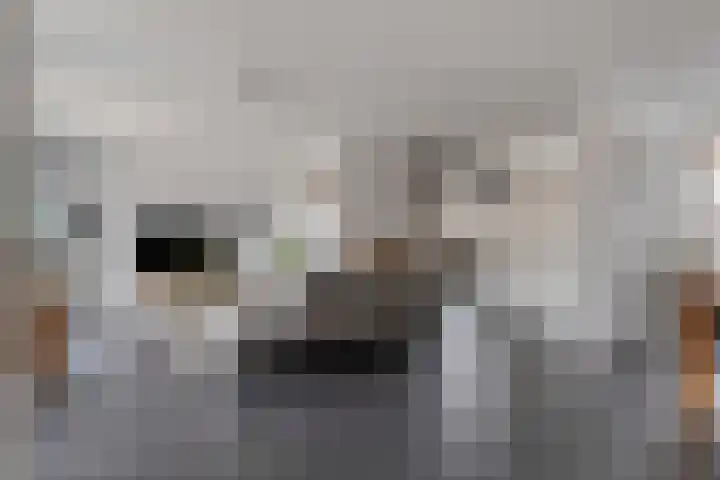 Loenerveld 63 Nieuw-Vennep thumbnail 6
