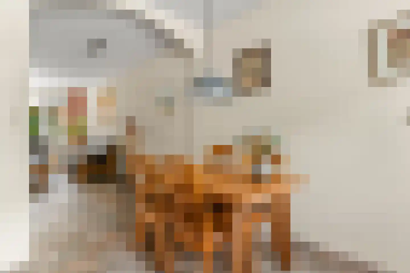 Loenerveste 6 Nieuwegein thumbnail 11