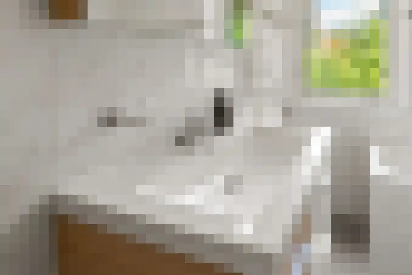 Loenerveste 6 Nieuwegein thumbnail 23