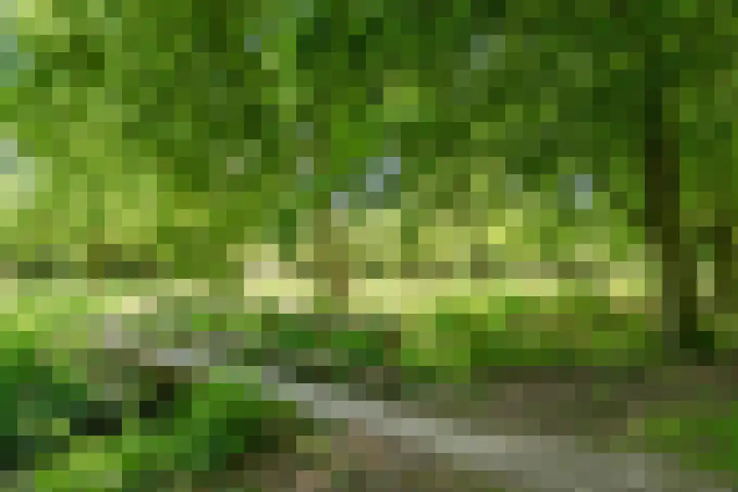 Loenerveste 6 Nieuwegein thumbnail 31