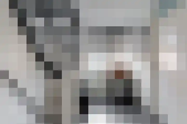 Loenhorst 23 Alphen aan den Rijn thumbnail 27