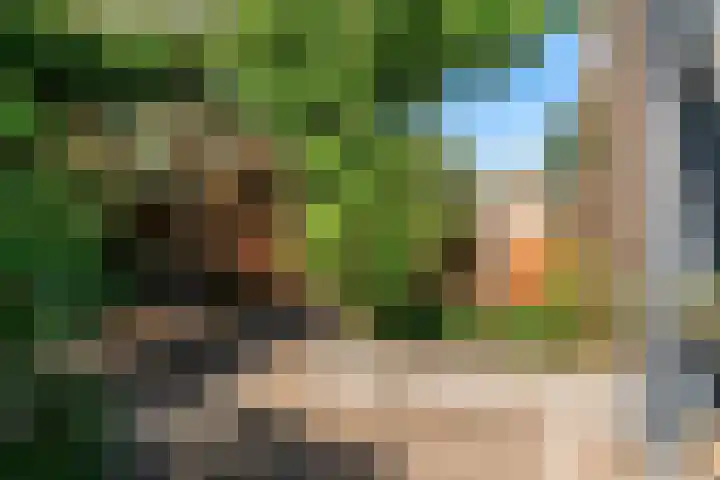 Loenhorst 23 Alphen aan den Rijn thumbnail 34
