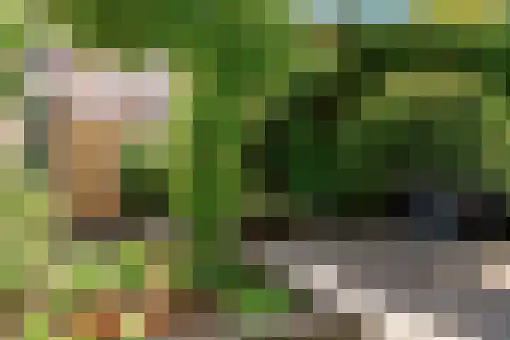 Loenhorst 23 Alphen aan den Rijn thumbnail 36