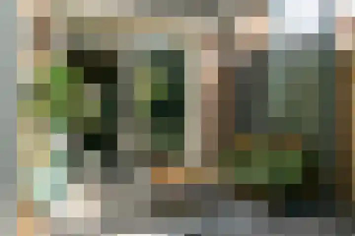Loenhorst 23 Alphen aan den Rijn thumbnail 37