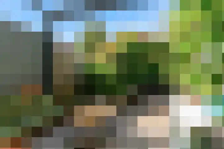 Loenhorst 23 Alphen aan den Rijn thumbnail 39