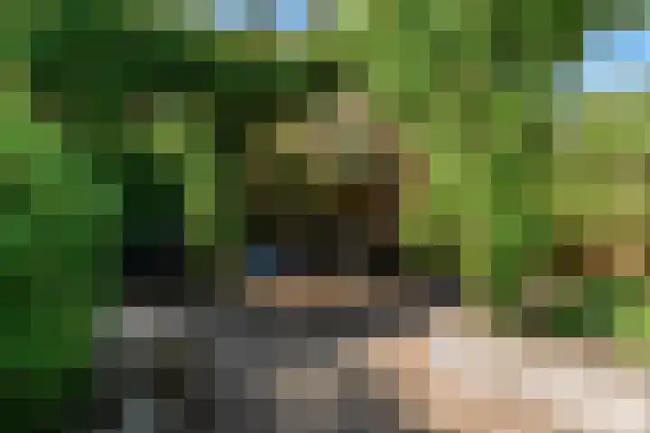Loenhorst 23 Alphen aan den Rijn thumbnail 5