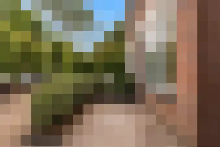 Loenhorst 23 Alphen aan den Rijn thumbnail 9