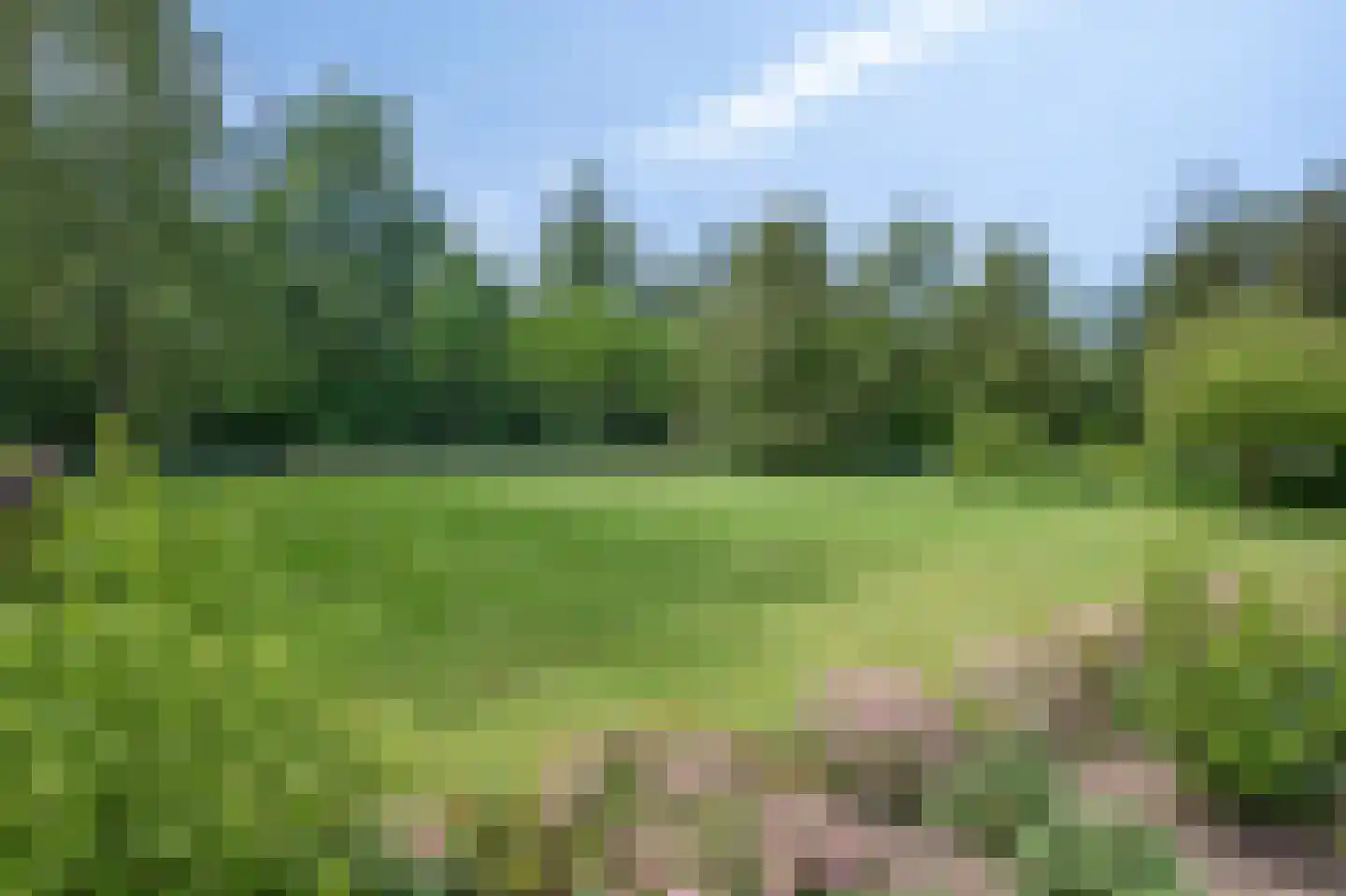 Loenhorsterweg 7 A Hummelo thumbnail 70