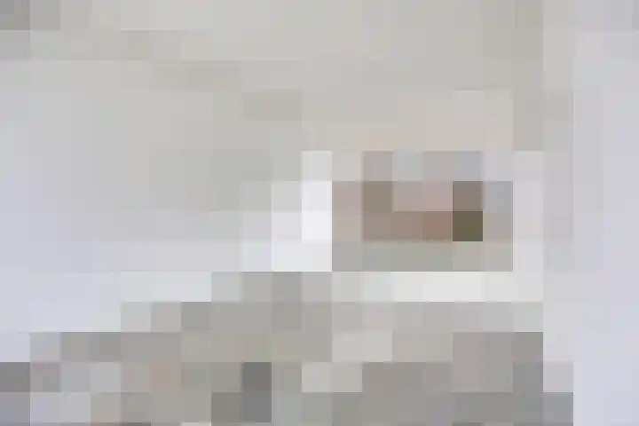 Loenhoutstraat 16 Breda thumbnail 8