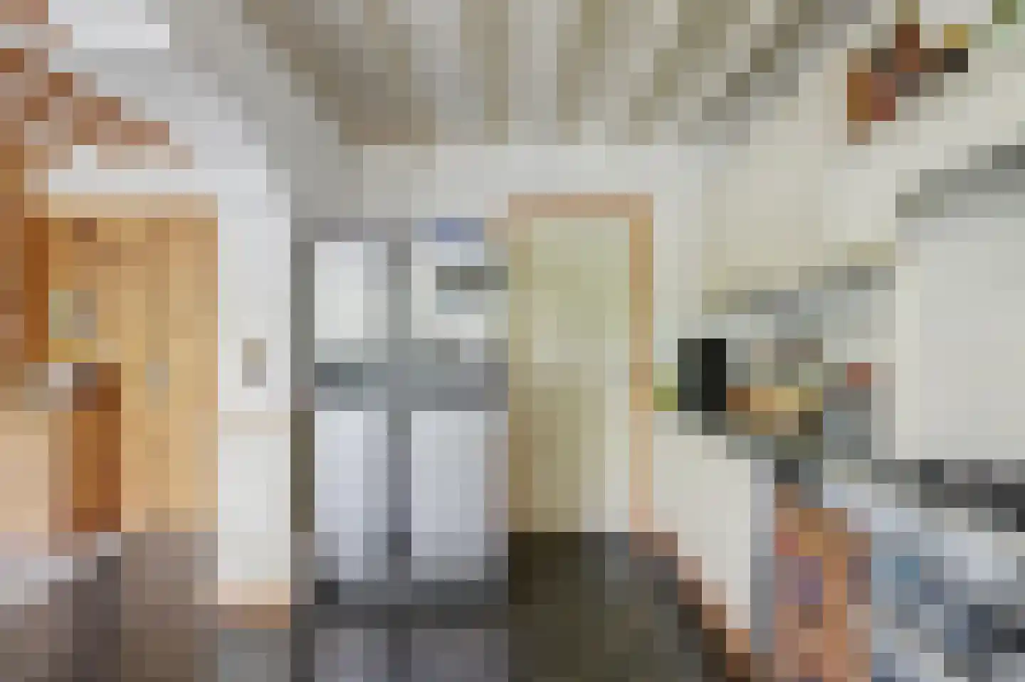 Loensweg 13 Nieuwerkerk thumbnail 12
