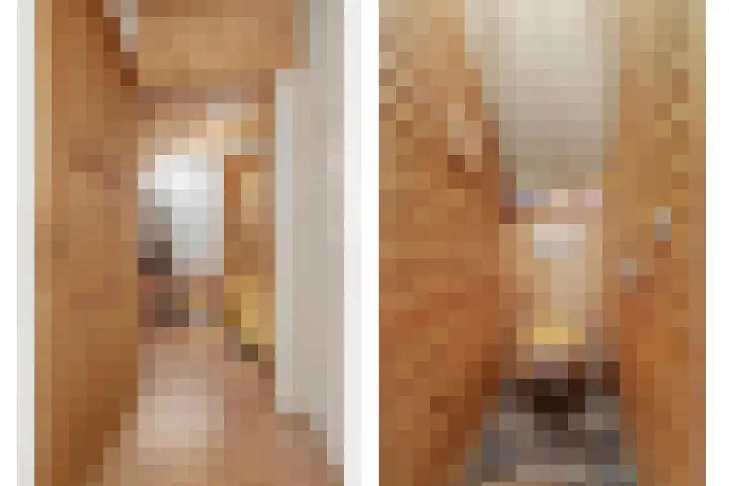 Loensweg 13 Nieuwerkerk thumbnail 24