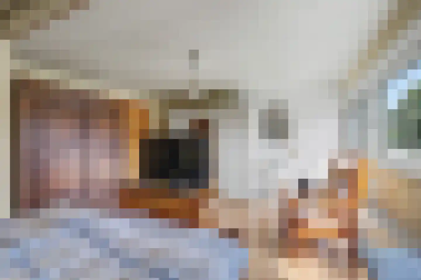 Loensweg 13 Nieuwerkerk thumbnail 26