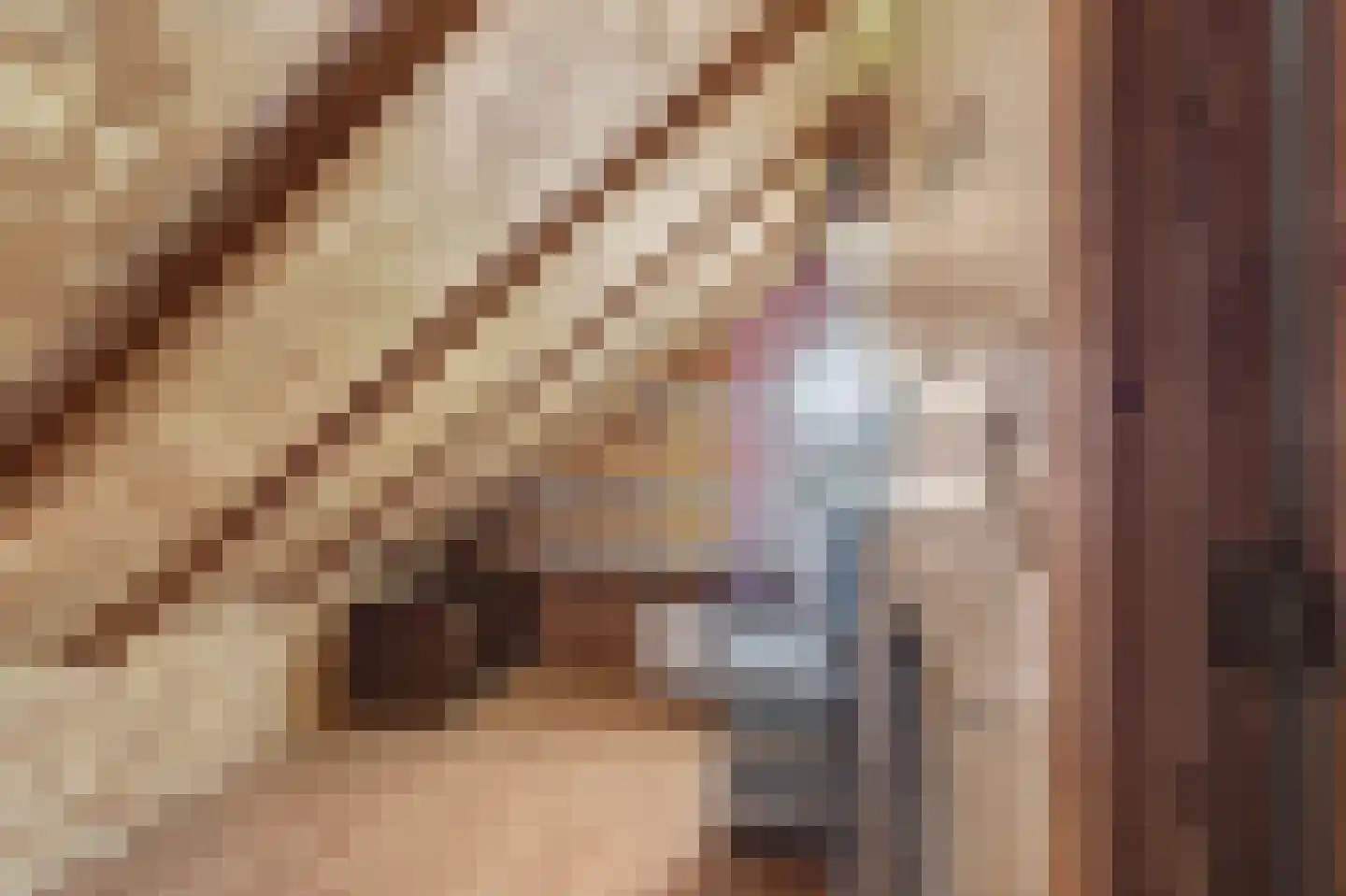 Loensweg 13 Nieuwerkerk thumbnail 35