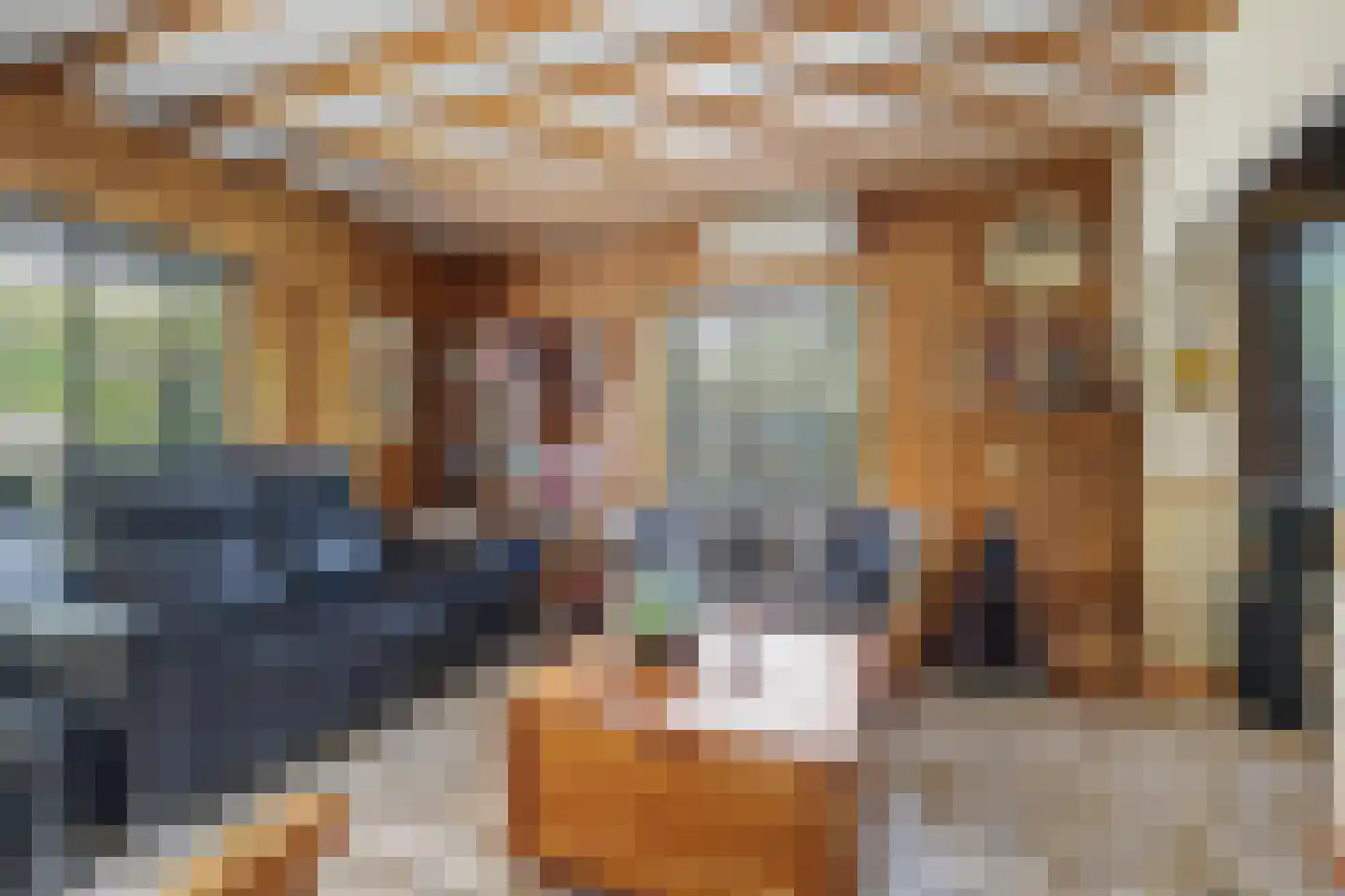 Loensweg 13 Nieuwerkerk thumbnail 7