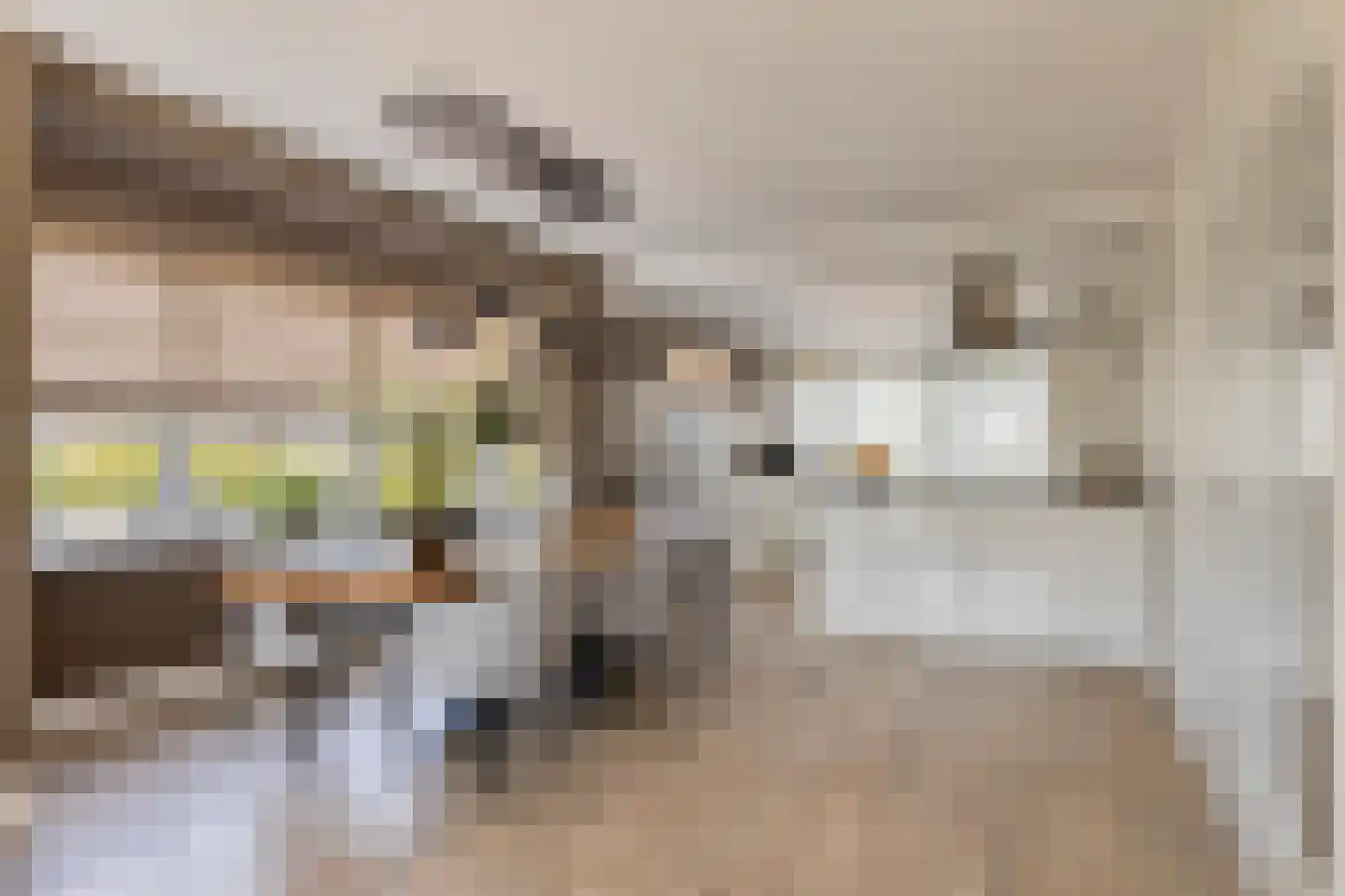 Loensweg 18 Nieuwerkerk thumbnail 12