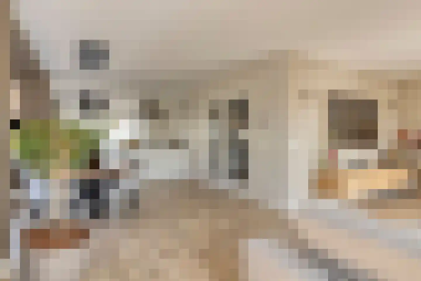Loensweg 18 Nieuwerkerk thumbnail 13