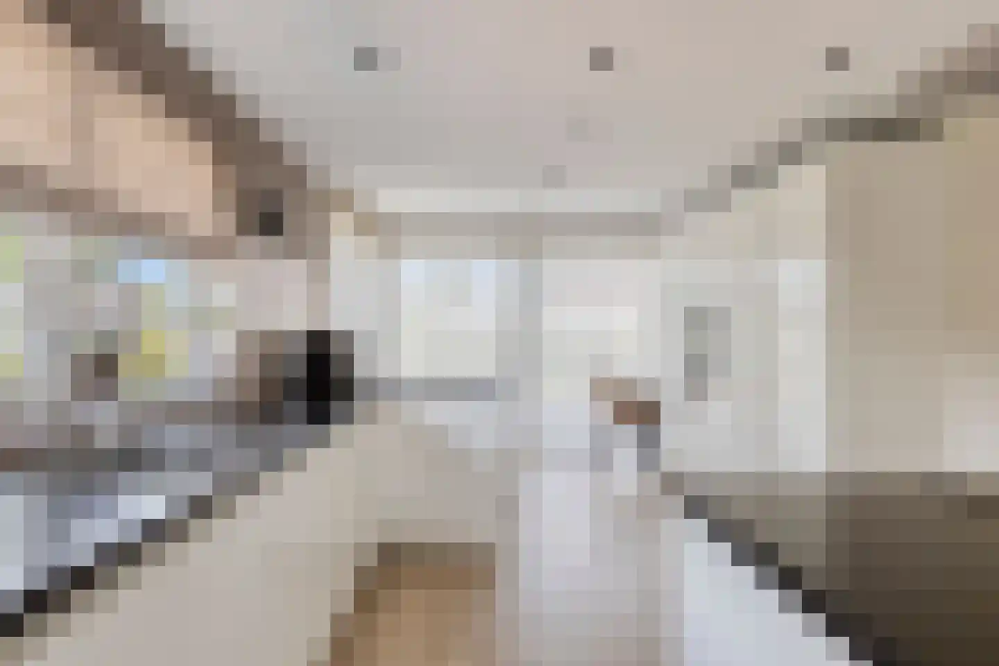 Loensweg 18 Nieuwerkerk thumbnail 15