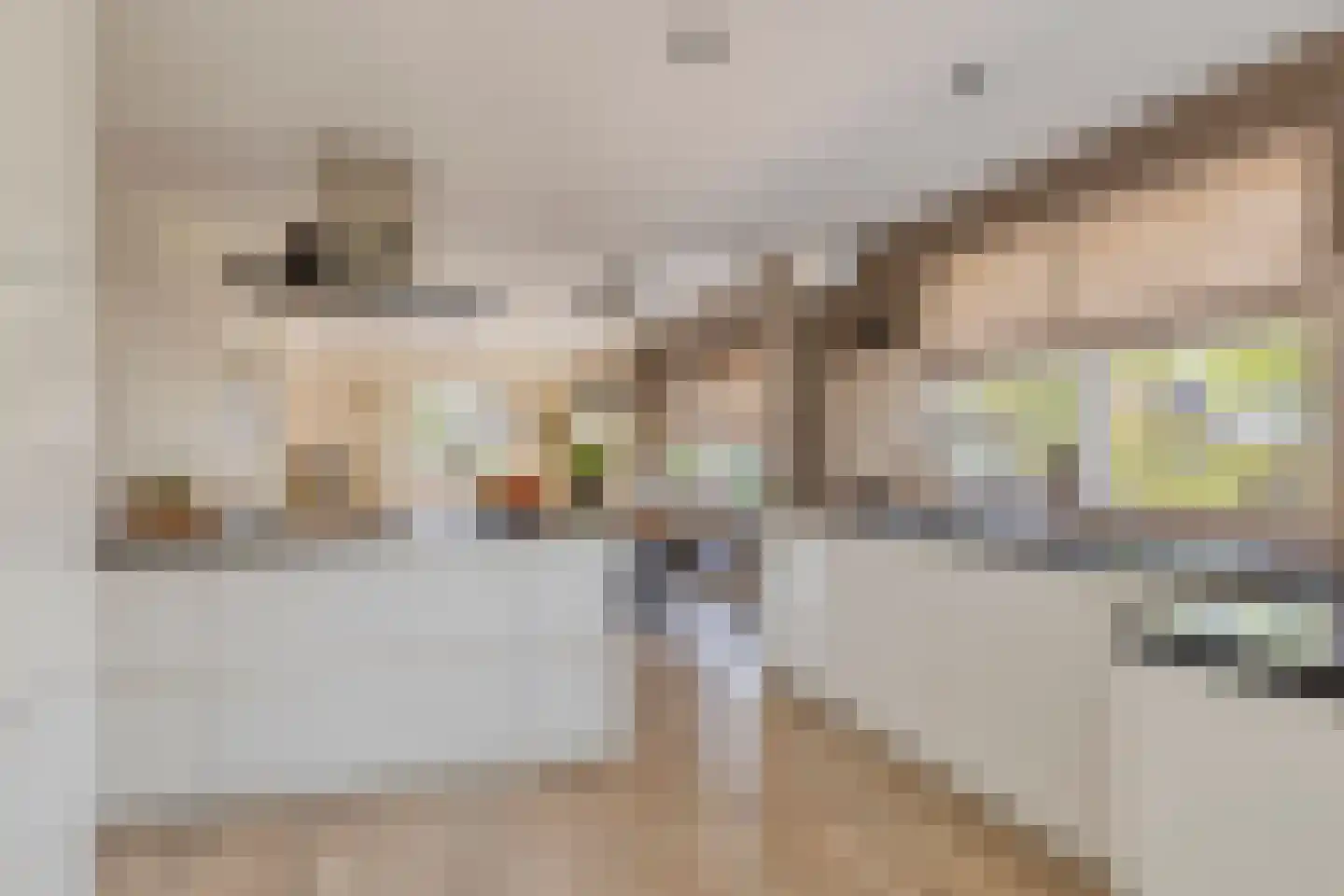 Loensweg 18 Nieuwerkerk thumbnail 17