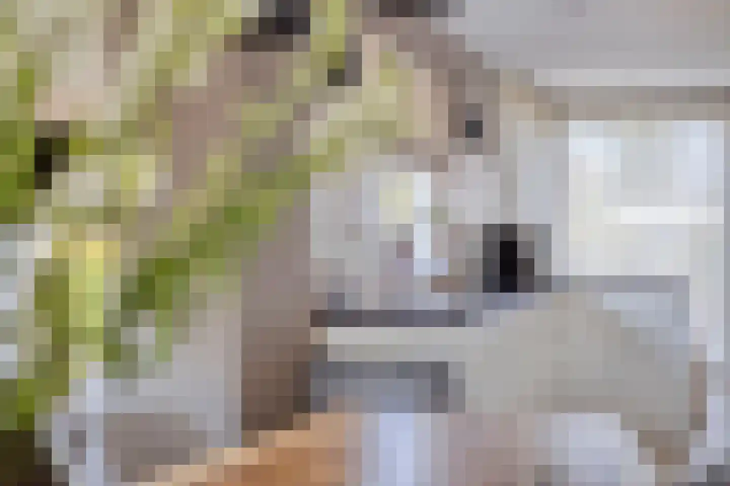 Loensweg 18 Nieuwerkerk thumbnail 22
