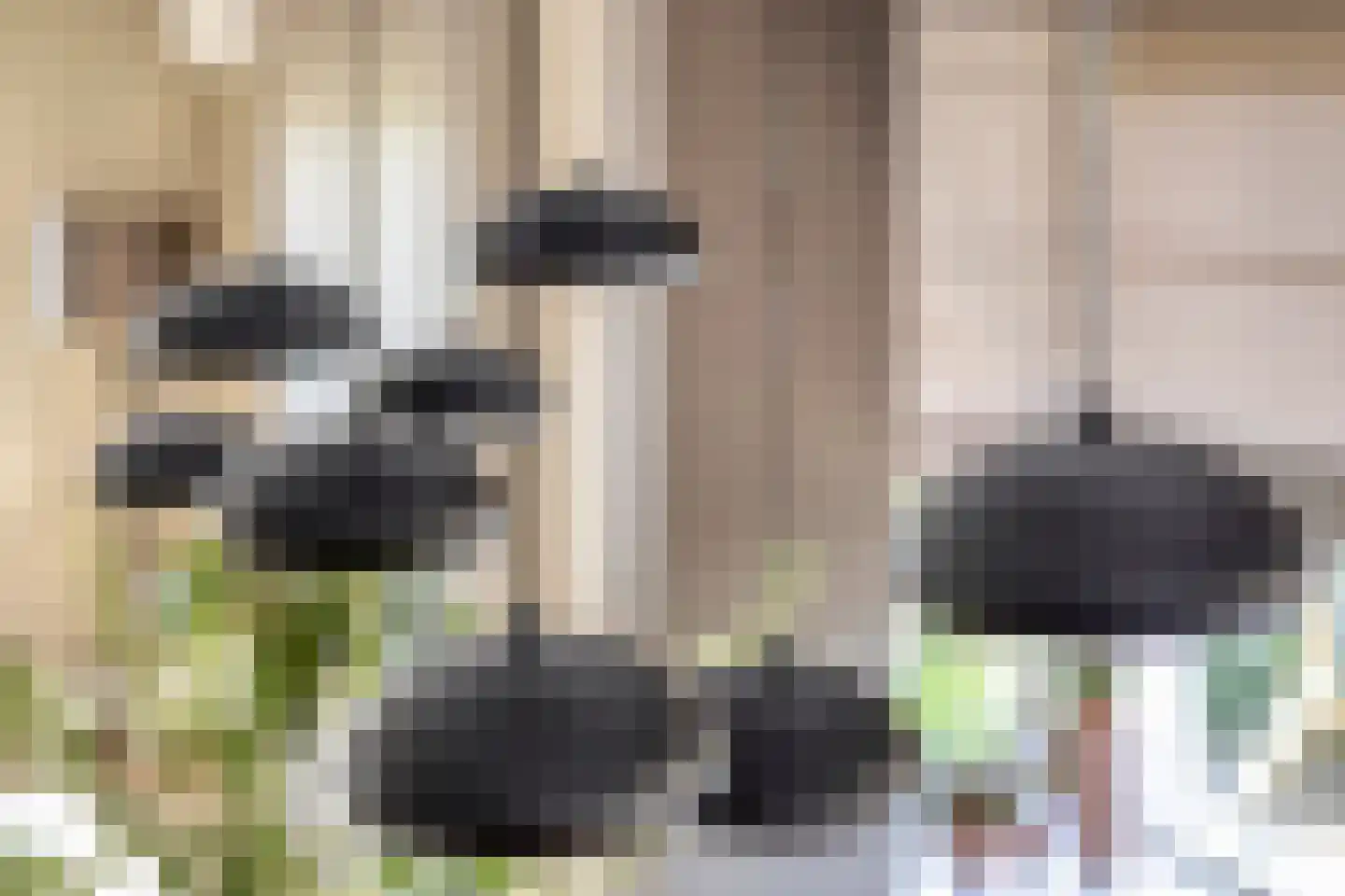Loensweg 18 Nieuwerkerk thumbnail 23