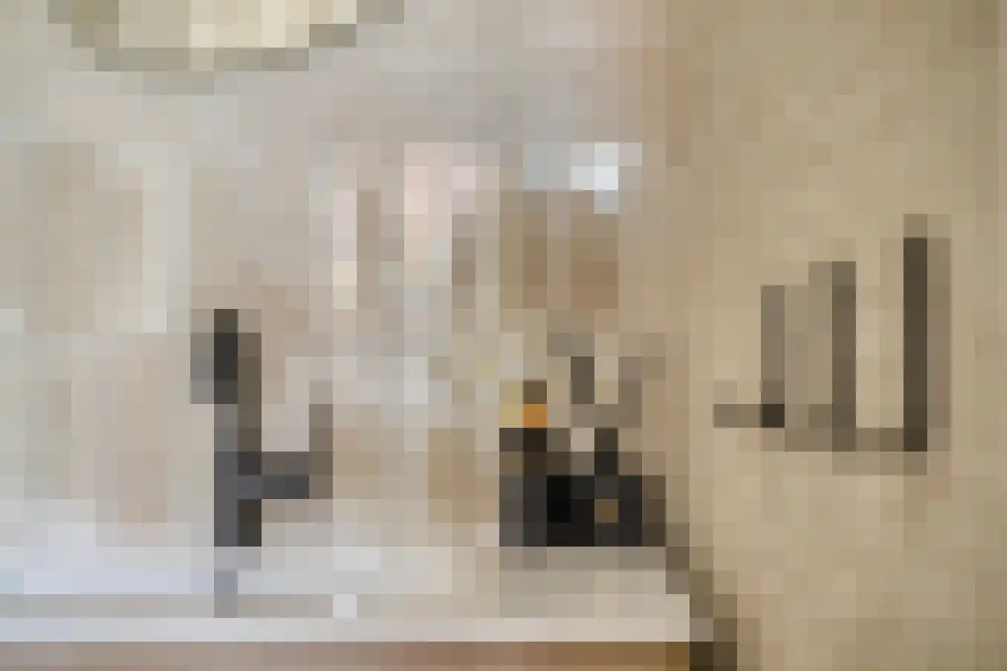 Loensweg 18 Nieuwerkerk thumbnail 26