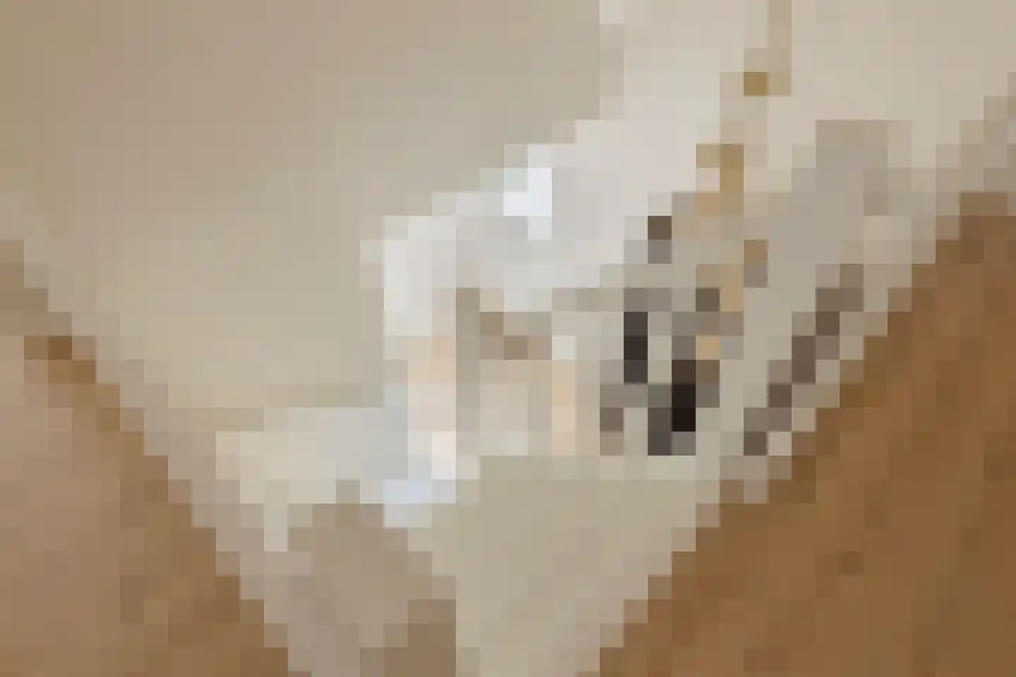 Loensweg 18 Nieuwerkerk thumbnail 29