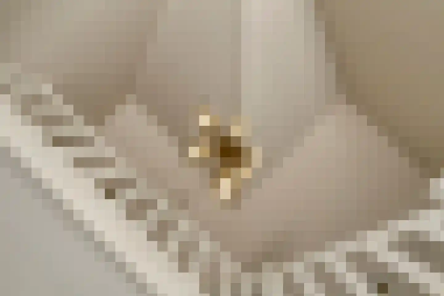 Loensweg 18 Nieuwerkerk thumbnail 30